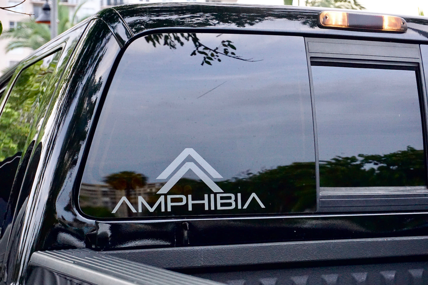 Amphibia Decal Large (Dark Grey)